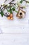 Decorative mushrooms, birdhouse and branches with flowers on a wooden table with space for your text