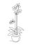 Decorative orchid growing in pot continuous line vector illustration. Simple hand drawn sketch