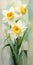 Decorative Paintings: Three Yellow And White Daffodils On Canvas