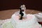 Decorative pair of newlyweds on top of a wedding cake