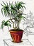 Decorative palm tree in red pot