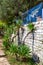 Decorative palms in design. Stone wall with glass fence