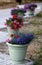 Decorative park pots with flowers on the footpath