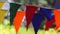 Decorative party multicolored striped pennants triangular flags on a two rope, closeup