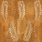 Decorative peacock feathers - wood texture - seamless background