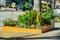 Decorative planter in an urban area with street and sidewalk in background and wooden pannels with plants and a palm