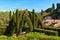 Decorative plants in Montjuic park, Barcelona