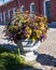 Decorative plants in a street vase