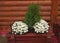 Decorative plants in wooden flowerbed