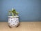 A Decorative Plastic Small Banana Tree Miniature