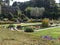 Decorative pool with water plants and glass sculptures in a luxurious garden