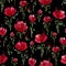 Decorative poppy flowers. Seamless watercolor pattern on white background.