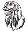 Decorative portrait of Afghan Hound Dog vector illustration