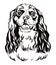 Decorative portrait of Cavalier King Charles Spaniel vector illustration