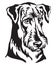 Decorative portrait of Dog Airedale Terrier vector illustration