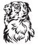 Decorative portrait of Dog Australian shepherd vector illustrati