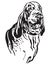 Decorative portrait of Dog Bracco Italiano vector illustration