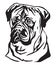 Decorative portrait of Dog Bullmastiff vector illustration