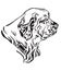 Decorative portrait of Dog Clumber Spaniel vector illustration