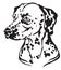 Decorative portrait of Dog Dalmatian vector illustration