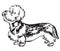 Decorative portrait of Dog Dandie Dinmont Terrier vector illustration