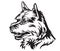 Decorative portrait of Dog Norwich Terrier vector illustration