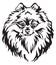 Decorative portrait of Dog Pomeranian Spitz vector illustration