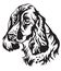 Decorative portrait of Dog Russian Spaniel vector illustration