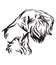 Decorative portrait of Dog Sealyham Terrier vector illustration