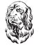 Decorative portrait of Sussex Spaniel Dog vector illustration