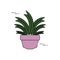 Decorative potted leaves plants flat fill