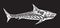 Decorative predator fish. White silhouette of shark on black background. Vector illustration for emblem or logo.