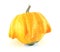 Decorative pumpkin (gourd)