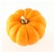 Decorative pumpkin (gourd)