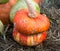 Decorative pumpkin varieties Turkish turban on the background of yellow leaves, hay. Food, vegetables, agriculture