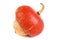 Decorative pumpkin on a white background. A small fruit with a bright red hat looks bright and unusual. It is used in