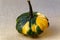 Decorative pumpkins for festive table decoration