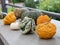 Decorative pumpkins, Halloween is approaching, yellow, white, green