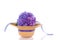Decorative purple hydrangea