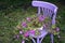 Decorative purple wooden chair equipped with a basket of flowers in the garden on a sunny summer day. Summer flower bed with