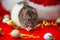 Decorative rat on a background of Christmas decorations . Year of rat. Symbol of 2020 on the Chinese calendar