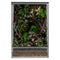 Decorative Reptile Breeding Terrarium with Lush Greenery