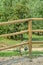 Decorative rusty old tracktor wheel at wooden fence of an orchard