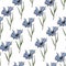 Decorative seamless floral pattern with cartoony meadow flowers.