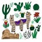 Decorative set of cute alpacas and cacti on a white background. Vector graphics for decorating childrens illustrations