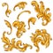 Decorative set of floral elements in baroque style. Golden curling plant.