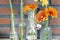 Decorative shelf on brick wall with colorful Gerbera dasies in glass vase close-up