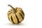 Decorative small pumpkin isolated