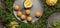 Decorative small pumpkins and cheese crockets on grey stoneware plates on green fresh thyme background.