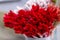 Decorative spiky flowers bouquet. Red cornflower on white